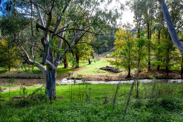 Second view of Homely house listing, 64 Shady Rest Rd, Wellington NSW 2820