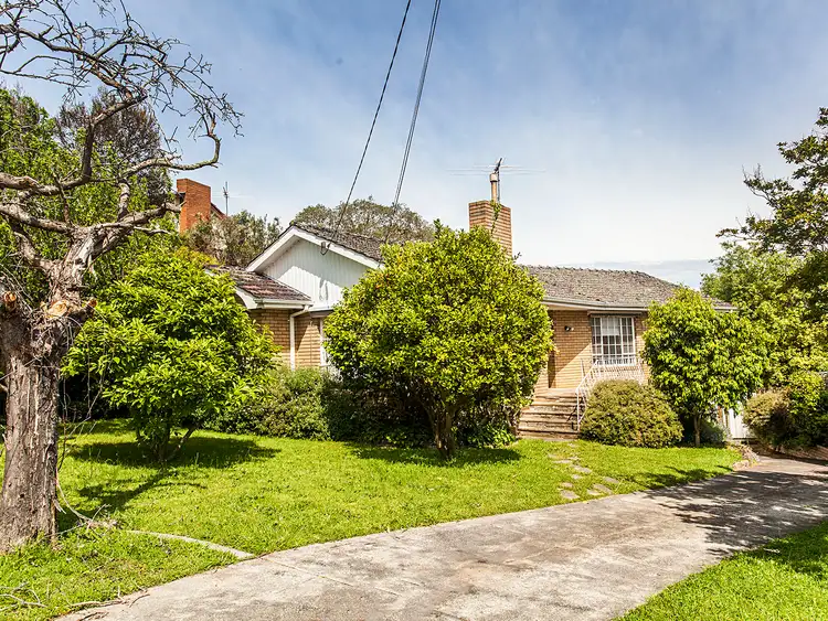 11 Rosaline Avenue