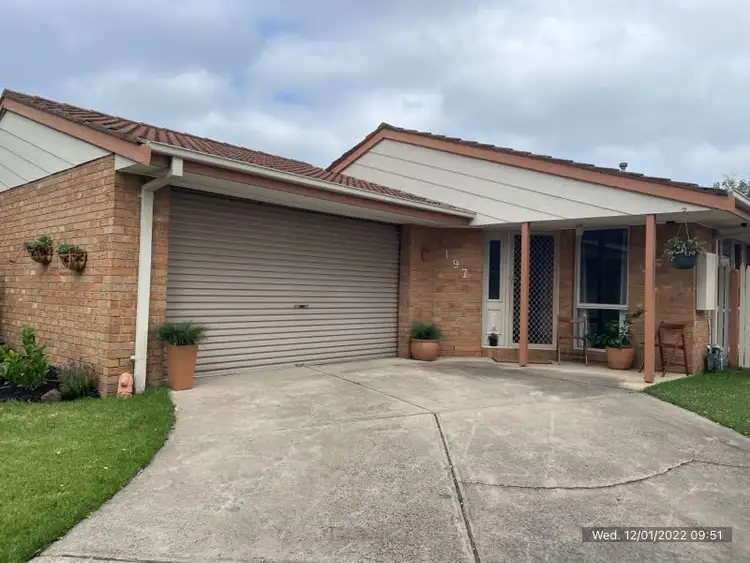 Main view of Homely house listing, 197 Centre Road, Langwarrin VIC 3910