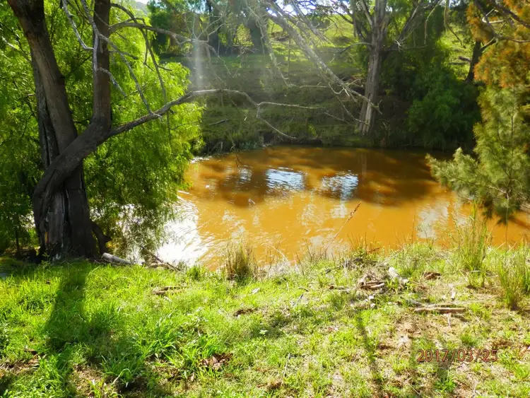 Sixth view of Homely rural property listing, 2040 Golden Highway, Sandy Hollow NSW 2333