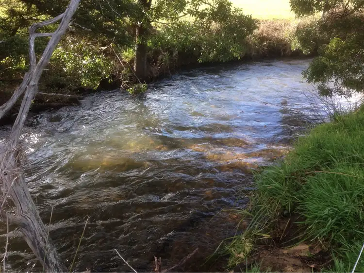 Third view of Homely rural property listing, 435 Liena Rd, Mole Creek TAS 7304