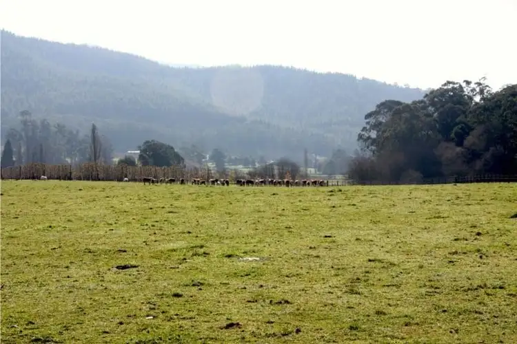 Sixth view of Homely land listing, Lots 1-5 Morses Creek Road, Wandiligong VIC 3744