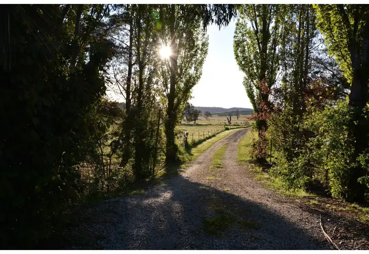 Sixth view of Homely rural property listing, 228 Wilbetree Road, Mudgee NSW 2850