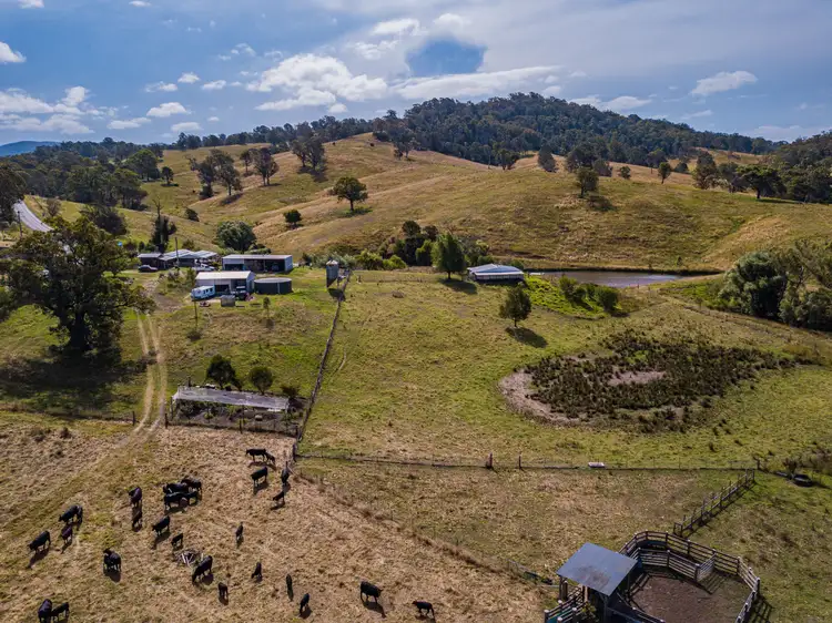 222 WARRIGAL RANGE ROAD, Brogo NSW 2550