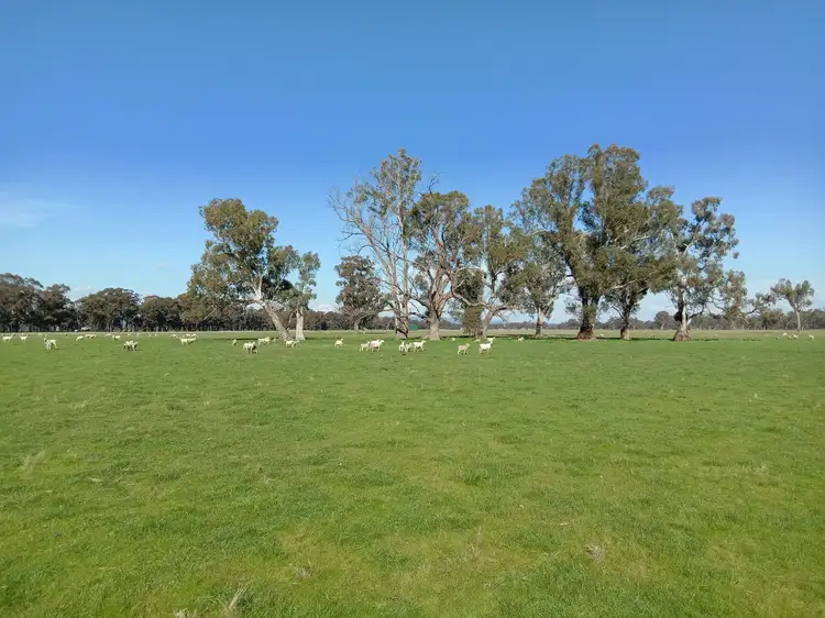 1129 EUROA-SHEPPARTON ROAD, Miepoll VIC 3666