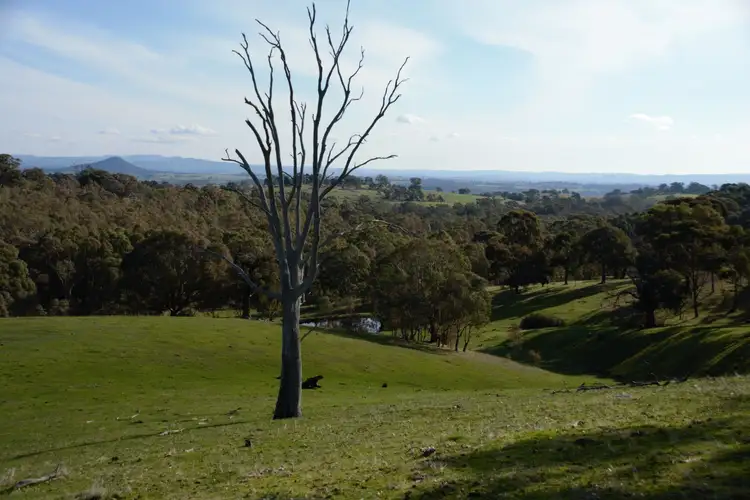 Sixth view of Homely land listing, 280 ELLIOTTS ROAD, Broadford VIC 3658