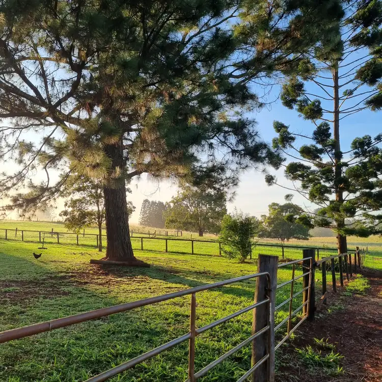 Fifth view of Homely rural property listing, 69 UPPER BARRON ROAD, Upper Barron QLD 4883