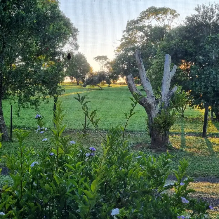 Seventh view of Homely rural property listing, 69 UPPER BARRON ROAD, Upper Barron QLD 4883