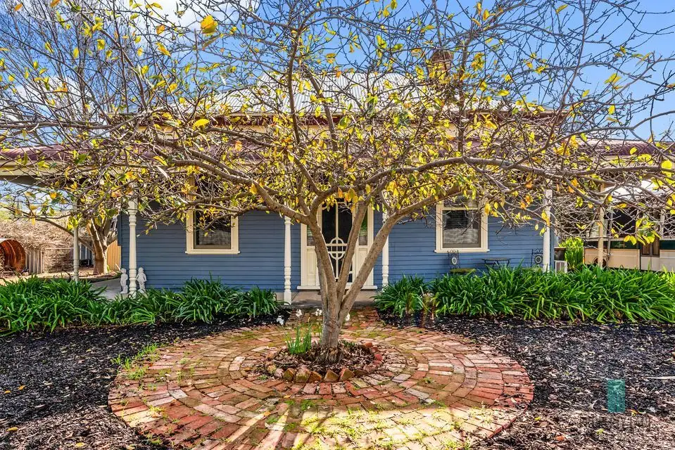 Main view of Homely house listing, 3 FRIEDRICH STREET, Freeling SA 5372