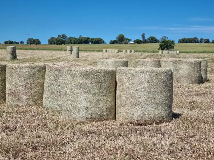 Fourth view of Homely land listing, 139 Linnings Road, Haigslea QLD 4306