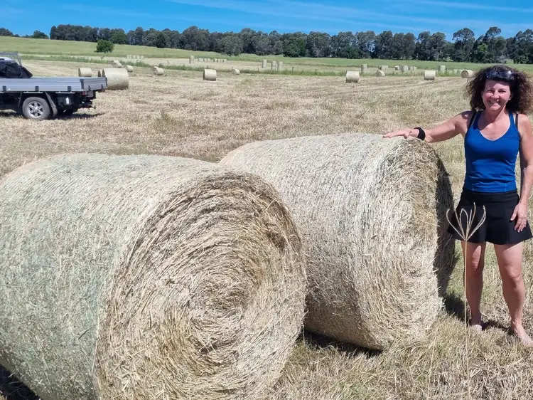 Fifth view of Homely land listing, 139 Linnings Road, Haigslea QLD 4306