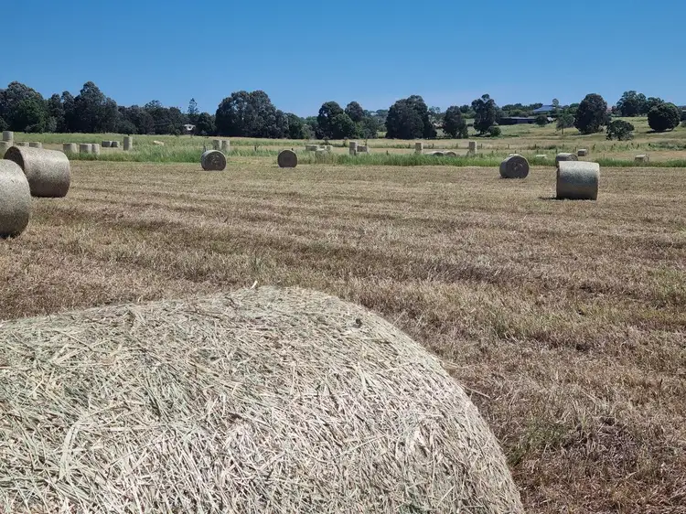 Sixth view of Homely land listing, 139 Linnings Road, Haigslea QLD 4306