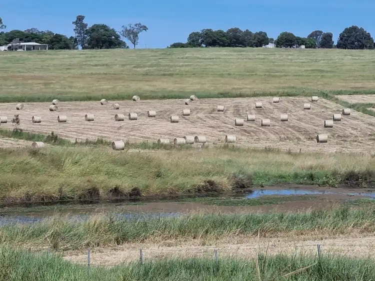 Seventh view of Homely land listing, 139 Linnings Road, Haigslea QLD 4306