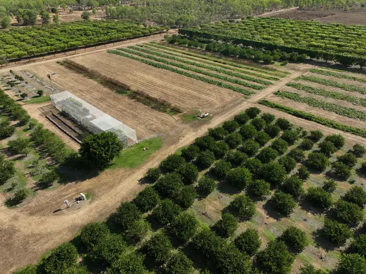 Sixth view of Homely rural property listing, 600 MOCATTO ROAD, Acacia Hills NT 822