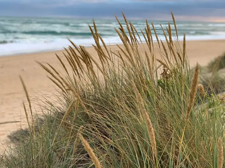 Fourth view of Homely land listing, 28 TI-TREE DRIVE, Golden Beach VIC 3851