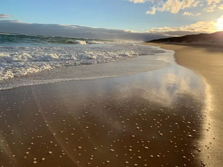 Seventh view of Homely land listing, 28 TI-TREE DRIVE, Golden Beach VIC 3851