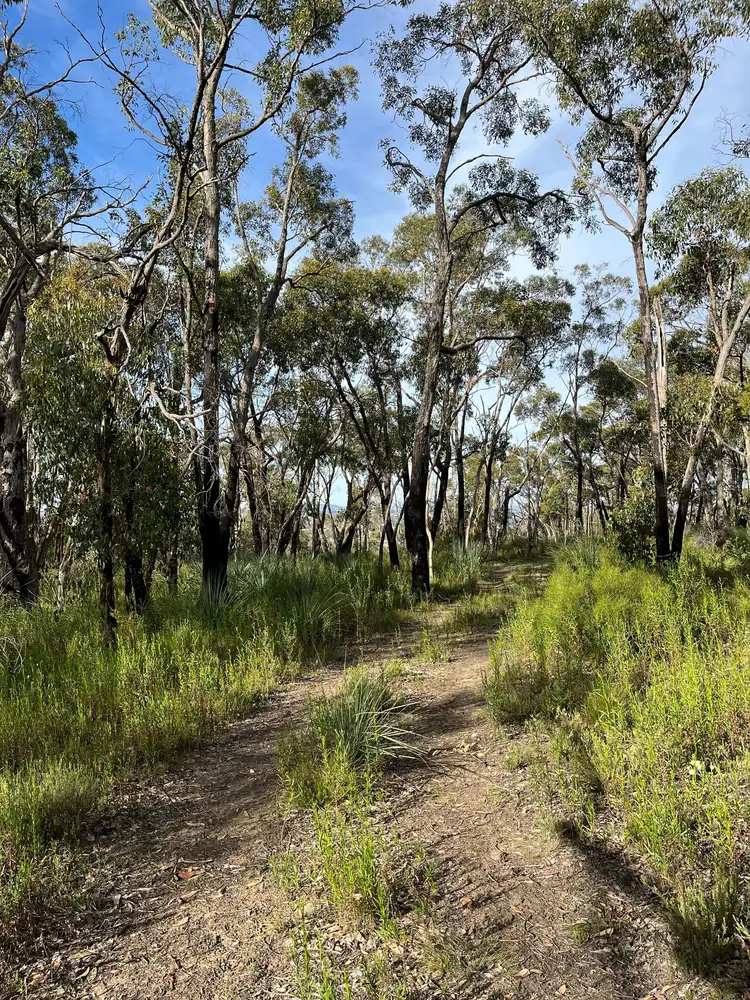 Lot 6 Moores Road, Montacute SA 5134