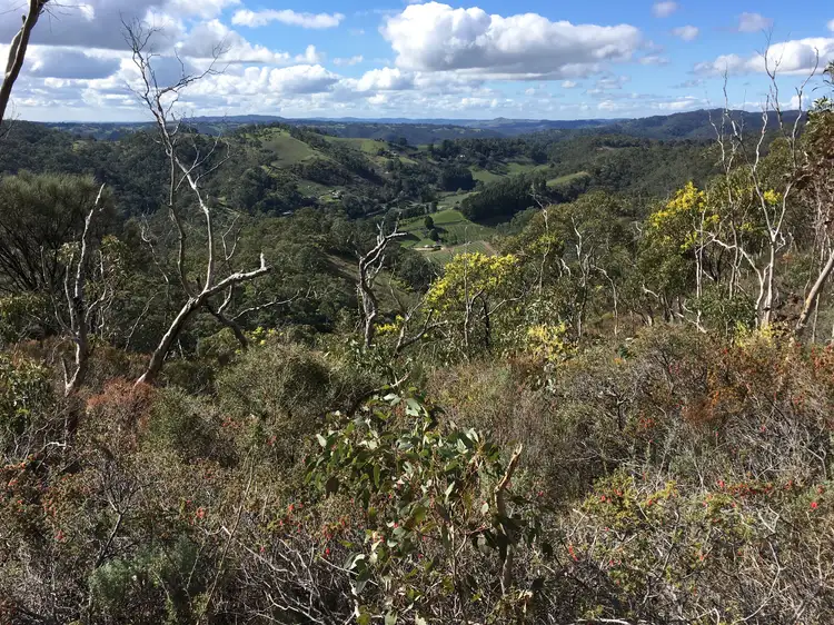 Second view of Homely land listing, Lot 6 Moores Road, Montacute SA 5134