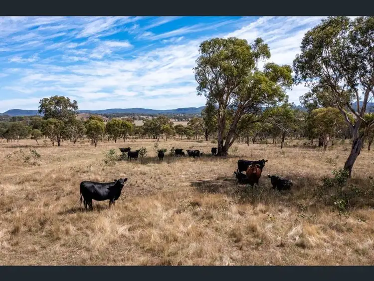 Fourth view of Homely rural property listing, 293 MOSSY ROCK LANE, Monivae NSW 2850