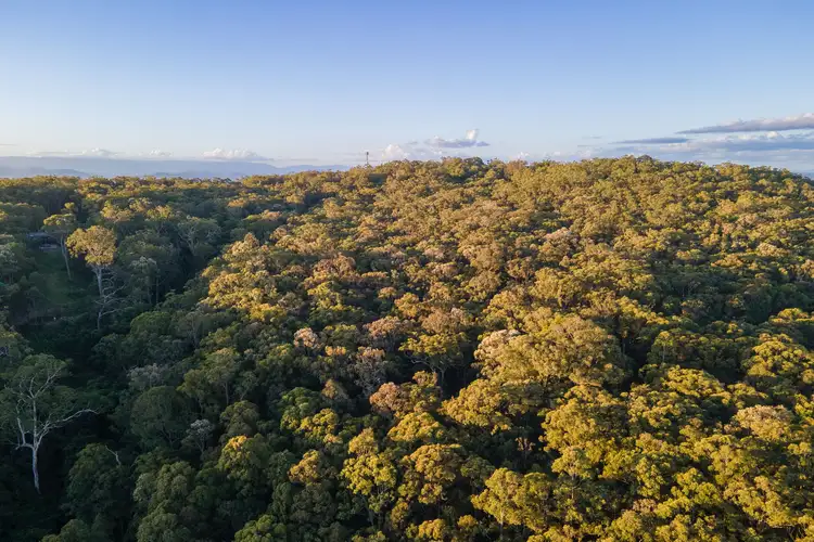 Third view of Homely land listing, 706 MOONABUNG ROAD, Vacy NSW 2421