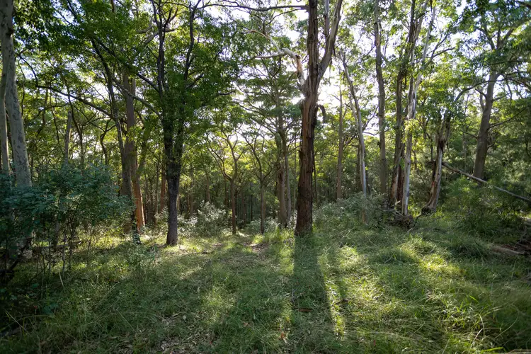 Fourth view of Homely land listing, 706 MOONABUNG ROAD, Vacy NSW 2421