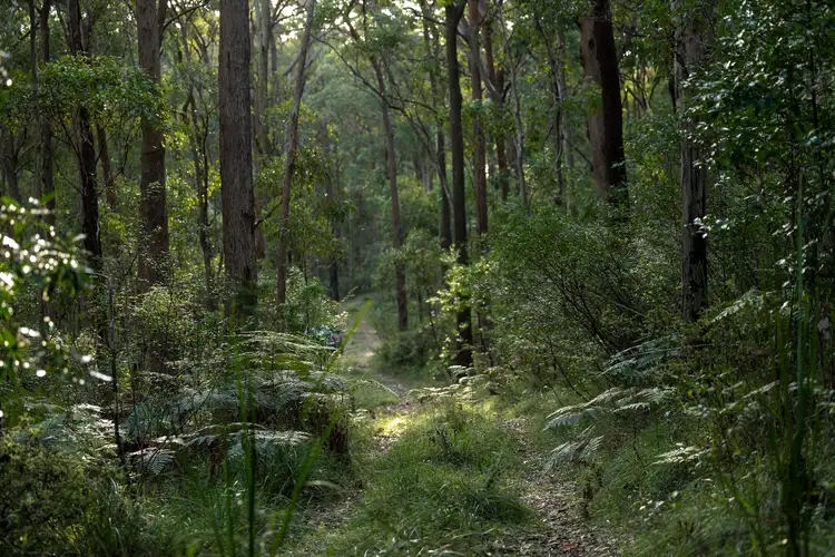 Fifth view of Homely land listing, 706 MOONABUNG ROAD, Vacy NSW 2421