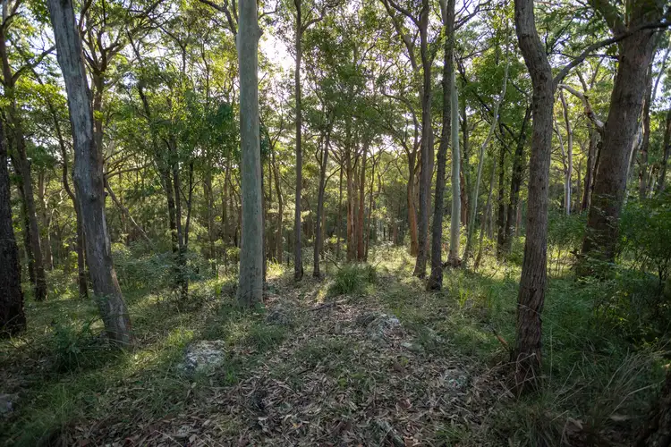 Sixth view of Homely land listing, 706 MOONABUNG ROAD, Vacy NSW 2421