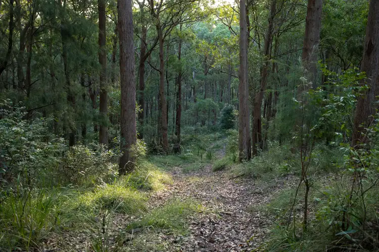 Seventh view of Homely land listing, 706 MOONABUNG ROAD, Vacy NSW 2421