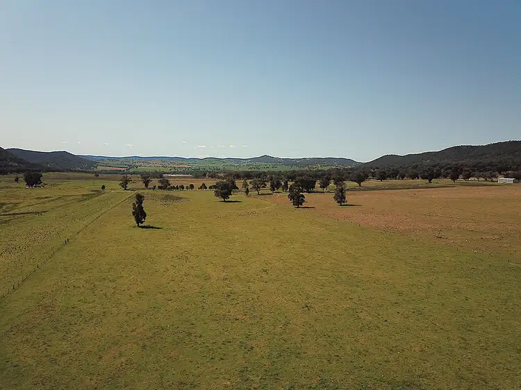 223 Rodwells Road, Cudal NSW 2864