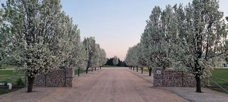 Third view of Homely land listing, 85-89 Eipper Road, Griffith NSW 2680