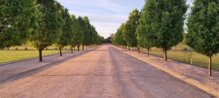 Fourth view of Homely land listing, 85-89 Eipper Road, Griffith NSW 2680