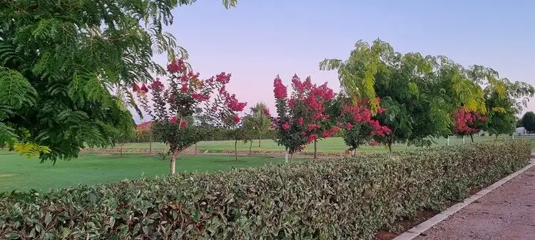 Sixth view of Homely land listing, 85-89 Eipper Road, Griffith NSW 2680