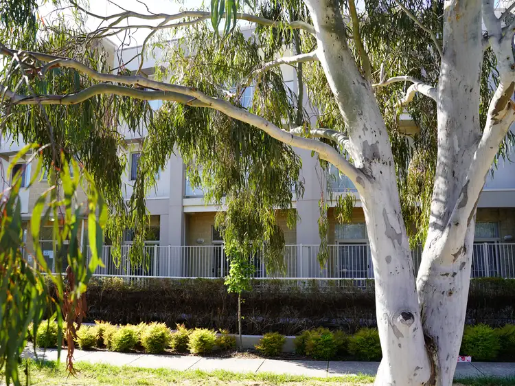 UNIT 17/31 THYNNE STREET, Bruce ACT 2617