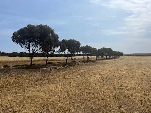 Fourth view of Homely land listing, 3 Cape Bauer Road, Streaky Bay SA 5680