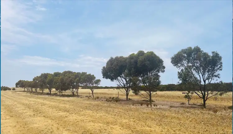 Fifth view of Homely land listing, 3 Cape Bauer Road, Streaky Bay SA 5680