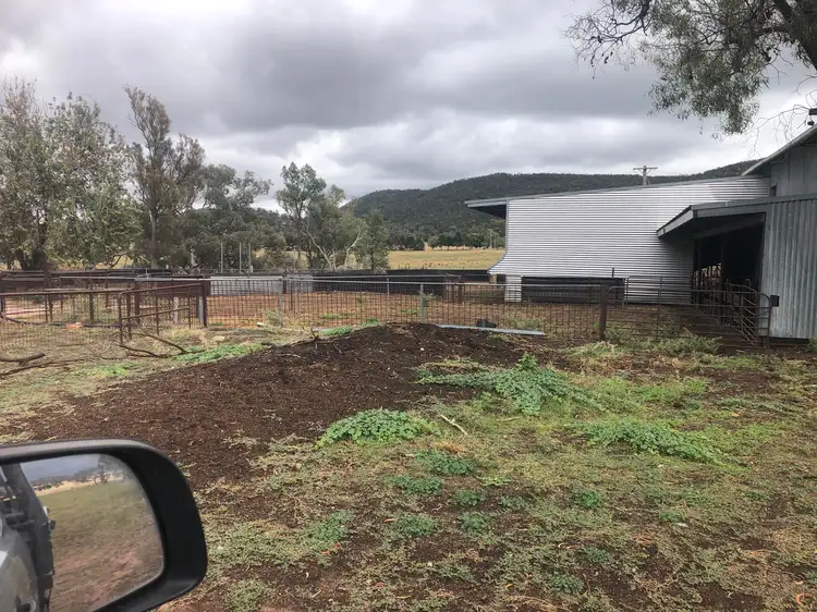 Third view of Homely rural property listing, 829 EULIMORE ROAD, Eugowra NSW 2806