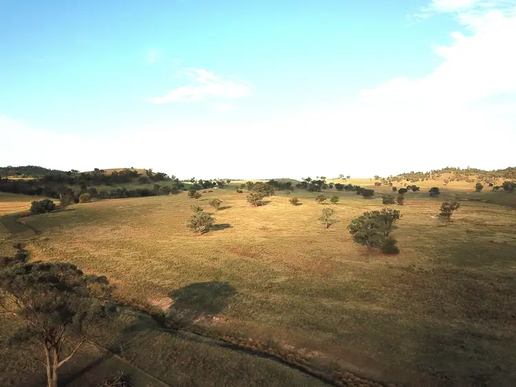 Fifth view of Homely rural property listing, 829 EULIMORE ROAD, Eugowra NSW 2806