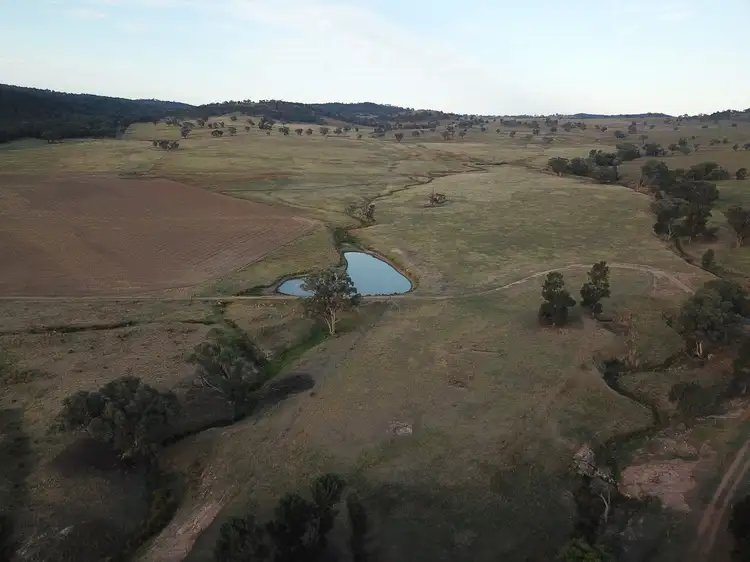 Seventh view of Homely rural property listing, 829 EULIMORE ROAD, Eugowra NSW 2806