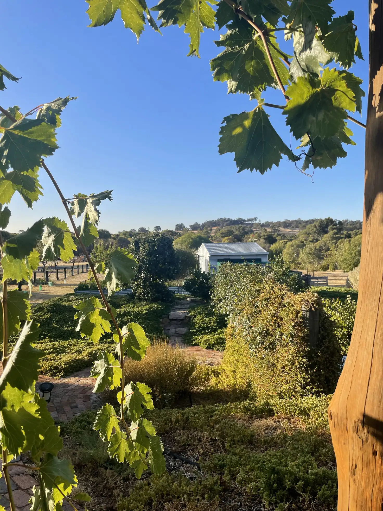 Main view of Homely house listing, 171 NARROGIN ROAD, Williams WA 6391