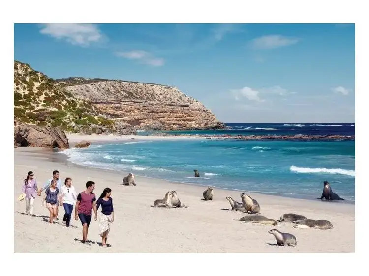 Sixth view of Homely land listing, Lot 173 Osmanli Road, D'estrees Bay SA 5223