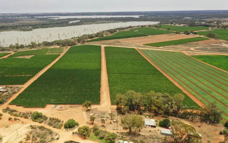 151 ELEPHANT TRUNK ROAD, Cobdogla SA 5346