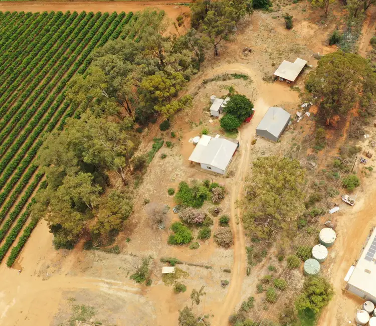 Fourth view of Homely rural property listing, 151 ELEPHANT TRUNK ROAD, Cobdogla SA 5346