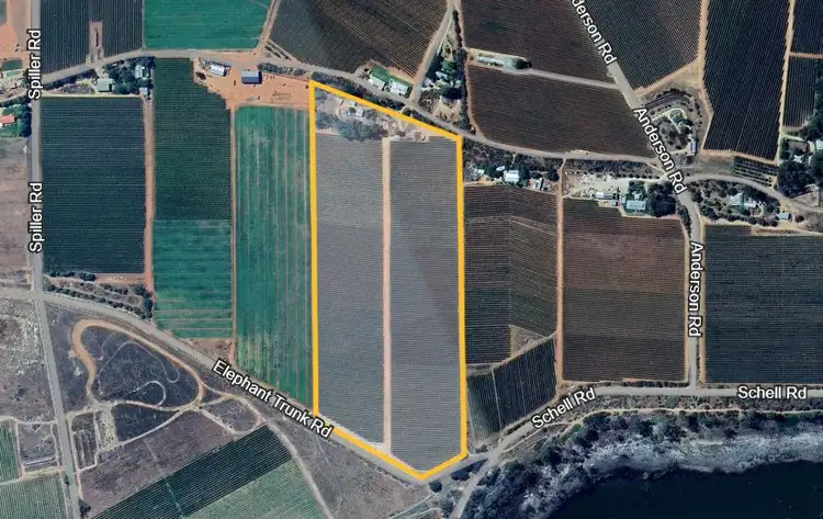Sixth view of Homely rural property listing, 151 ELEPHANT TRUNK ROAD, Cobdogla SA 5346
