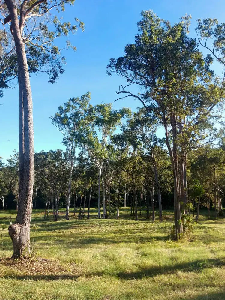 Seventh view of Homely land listing, 49 GILLIES ROAD, Strathdickie QLD 4800