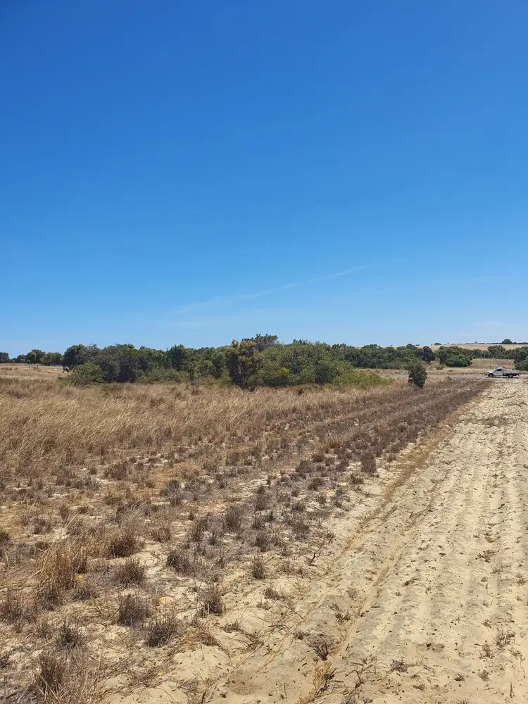 Second view of Homely land listing, Lot 220 Callistemon ,loop, Nilgen WA 6044