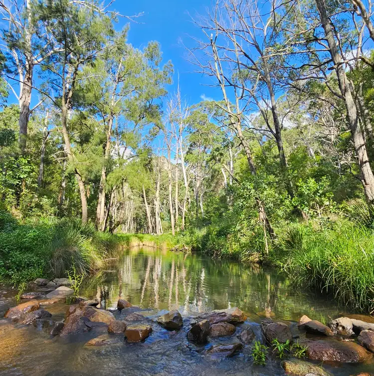 Seventh view of Homely land listing, Lot 2 Old Mill Rd, Emu Vale QLD 4371