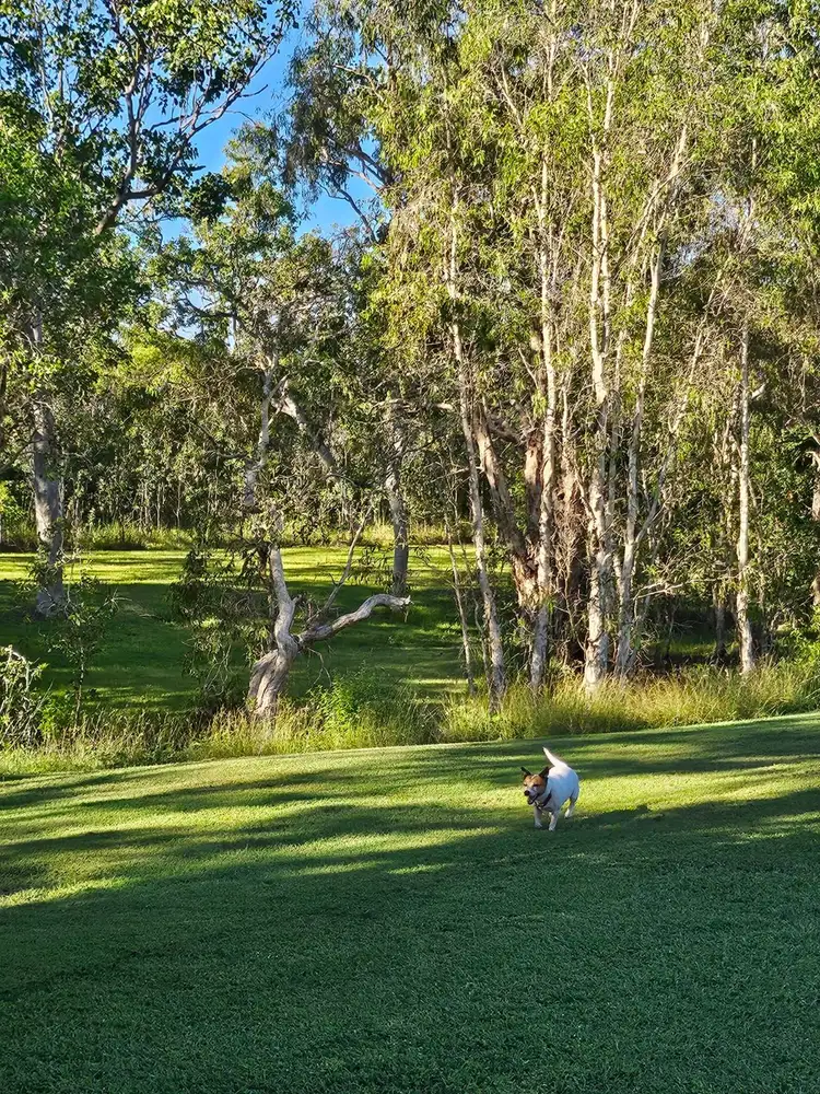 Fourth view of Homely land listing, 295 OCEAN PARADE, Balgal Beach QLD 4816