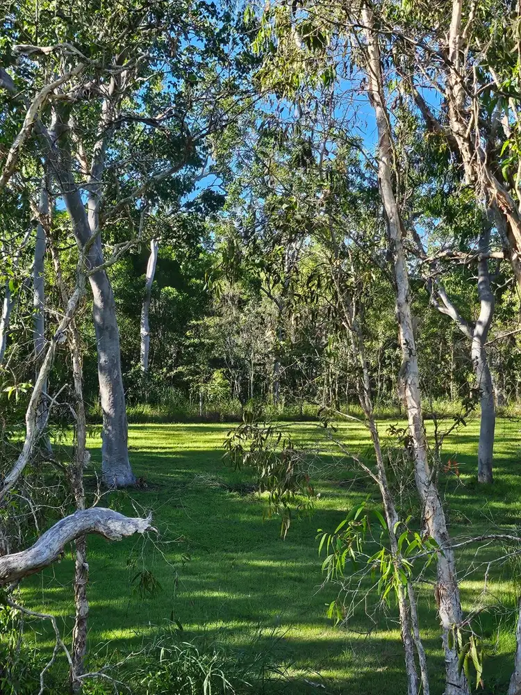 Fifth view of Homely land listing, 295 OCEAN PARADE, Balgal Beach QLD 4816