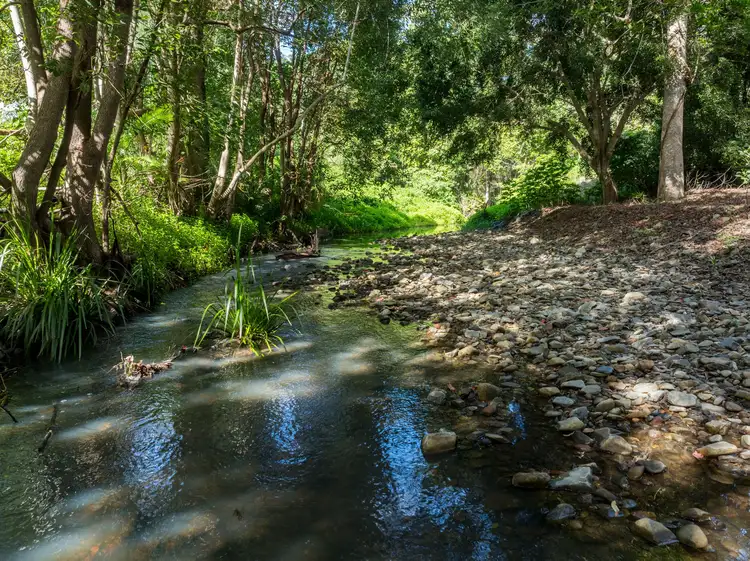 Fifth view of Homely house listing, 96 GOLDEN VALLEY ROAD, Tallebudgera Valley QLD 4228