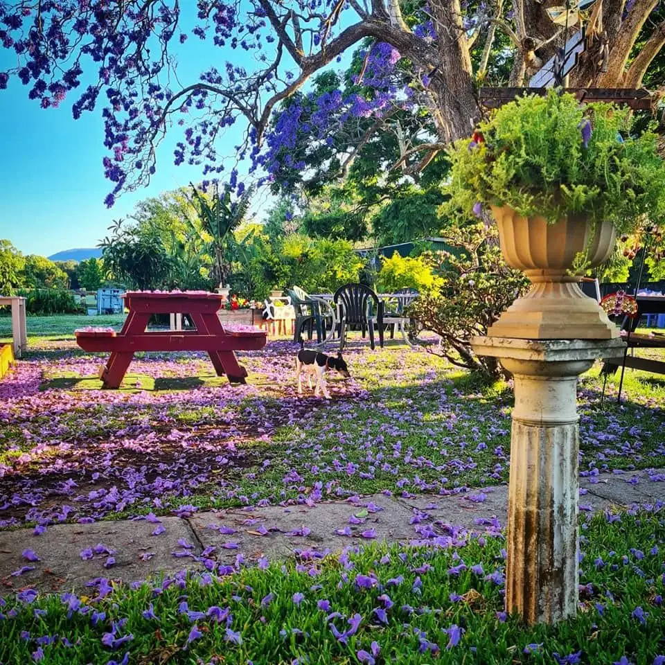 Main view of Homely house listing, 34 HANNAM VALE ROAD, Moorland NSW 2443